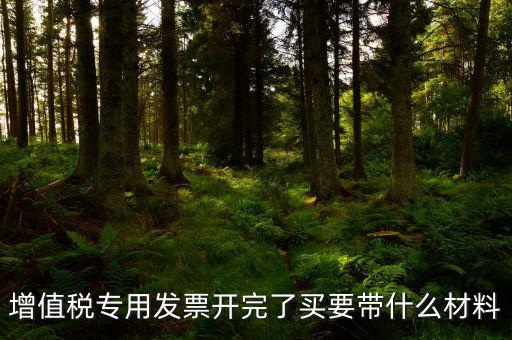增值稅專用發票開完了買要帶什么材料