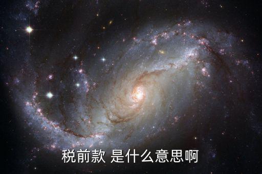 稅前金額是什么意思，稅前款 是什么意思啊