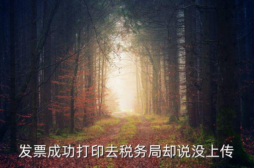 發票成功打印去稅務局卻說沒上傳