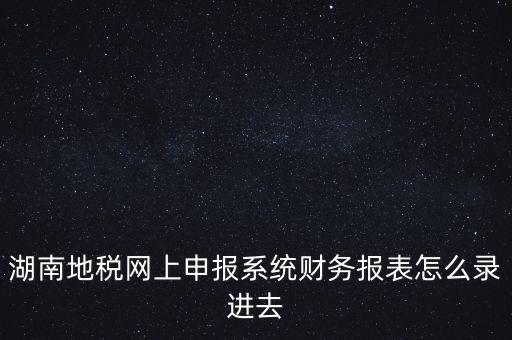 湖南地稅網上申報系統財務報表怎么錄進去
