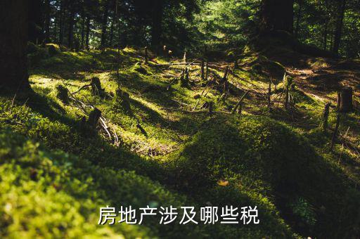房地產涉及哪些稅