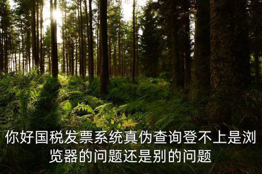 新疆國稅發票查詢為什么進不去，為什么國稅官網中電子發票查詢打不開