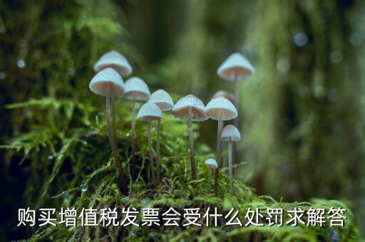 購買增值稅發票會受什么處罰求解答