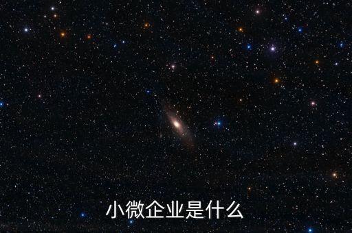 小微企業是什么