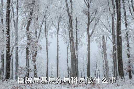 國稅局基建科做什么，是不是很多單位都有基建處基建處都干點(diǎn)什么