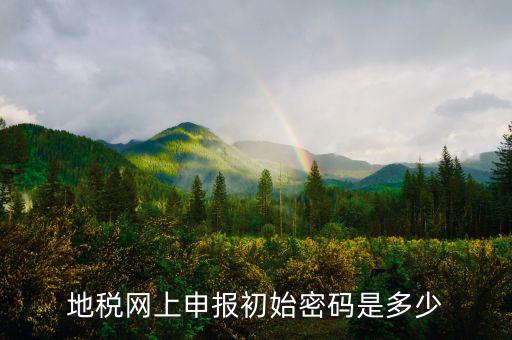 地稅網上申報初始密碼是多少