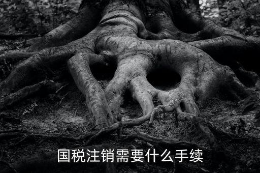 國稅局注銷要什么手續，國稅注銷需要什么手續