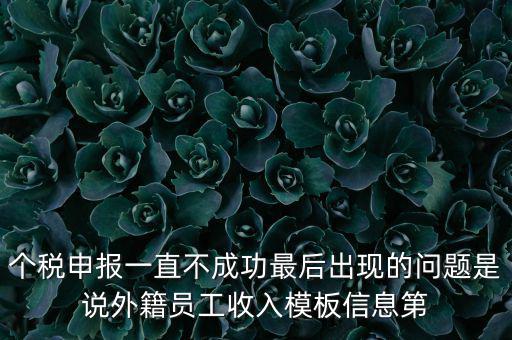 個稅申報一直不成功最后出現的問題是說外籍員工收入模板信息第
