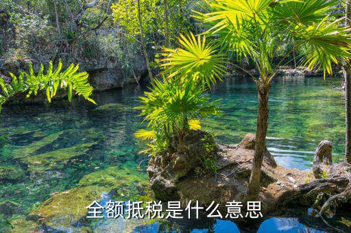 什么叫全額抵p，增值稅的全額抵扣是什么意思