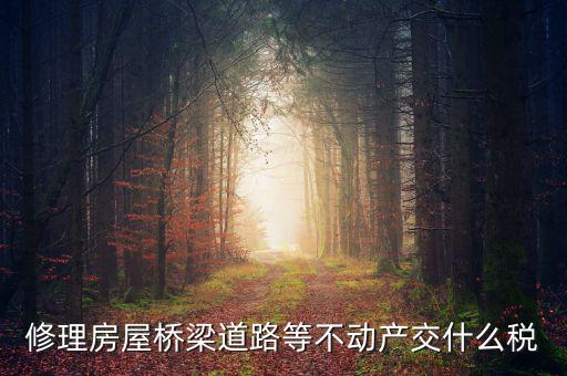 修理房屋橋梁道路等不動產交什么稅