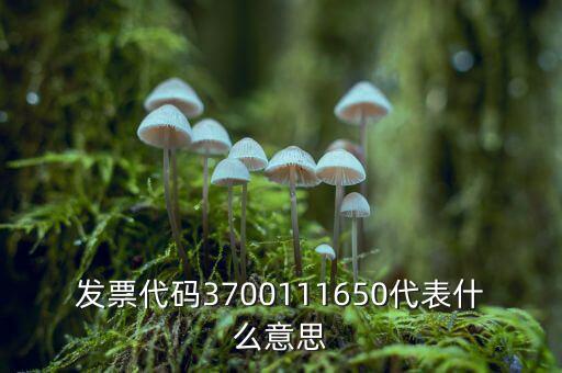 發票代碼3700111650代表什么意思