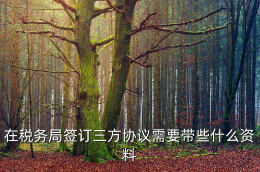 在稅務局簽訂三方協議需要帶些什么資料