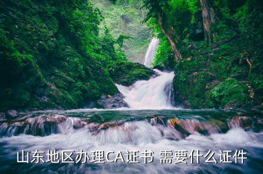 山東地區辦理CA證書 需要什么證件