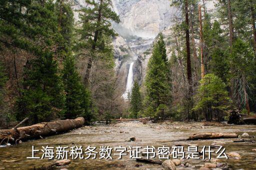 上海新稅務數字證書密碼是什么