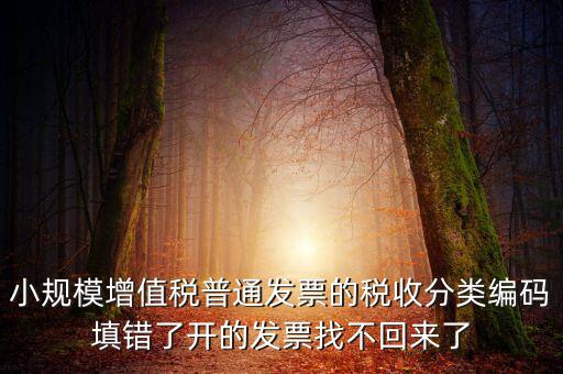 小規模增值稅普通發票的稅收分類編碼填錯了開的發票找不回來了