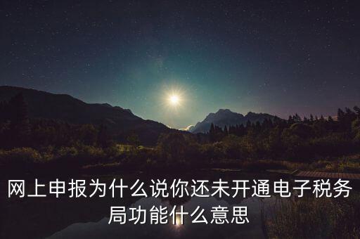 電子稅務局是干什么，企業金稅盤系統用來開票抄稅報稅用那登錄國稅地稅局網站是干嘛的