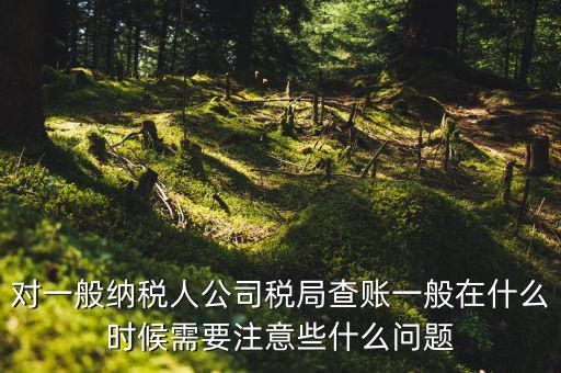 一般地稅稽查會在什么時候，稅務局什么時候會查賬不申報有哪些后果