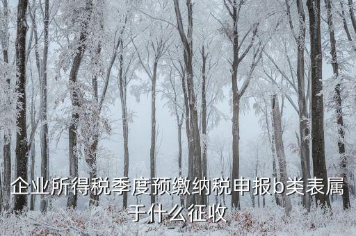 所得稅b類按什么征收，企業所得稅季度預繳納稅申報b類表屬于什么征收