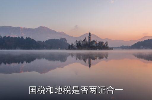 國稅的兩證合一是什么意思，國稅和地稅是否兩證合一