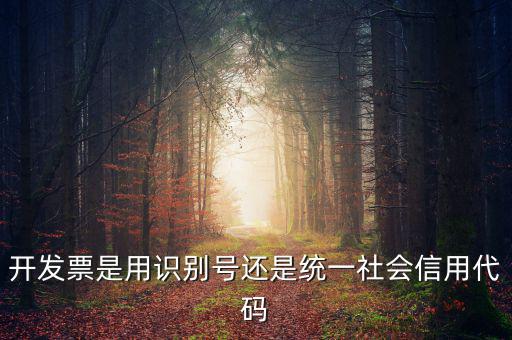 發票填寫統一社會代碼是什么，開發票要的稅號是統一社會代碼證號嗎