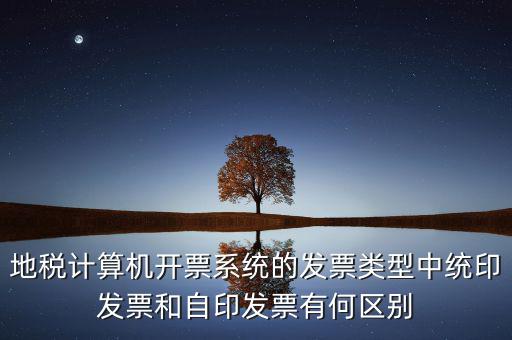 地稅計算機開票系統的發票類型中統印發票和自印發票有何區別