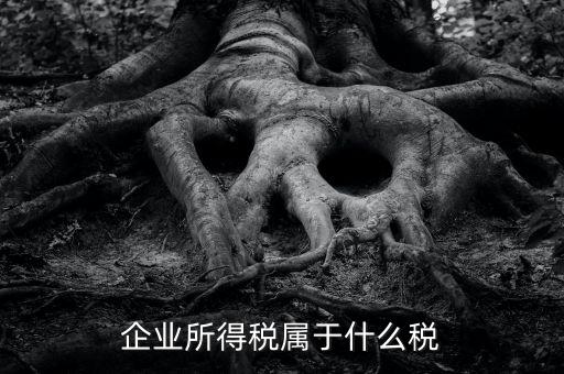 企業所得稅是什么稅，所得稅包括什么稅