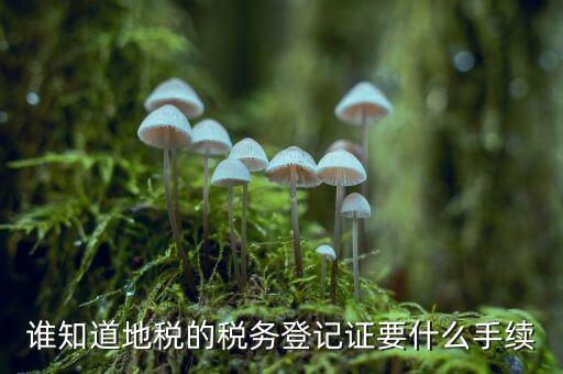 誰知道地稅的稅務登記證要什么手續