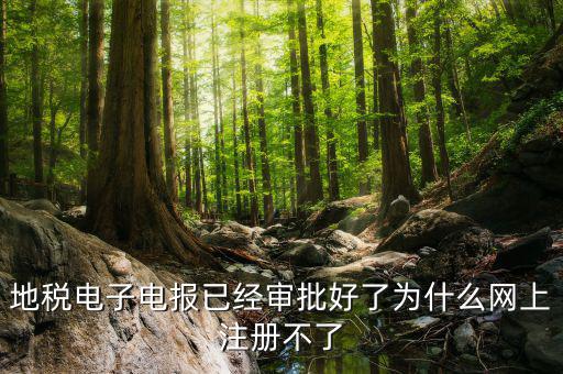 河地稅網上辦稅為什么注冊不了，地稅網上打印報表提示沒有注冊要怎么注冊呢