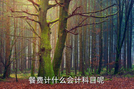 研發人員的餐費計入什么科目，餐費計什么會計科目呢