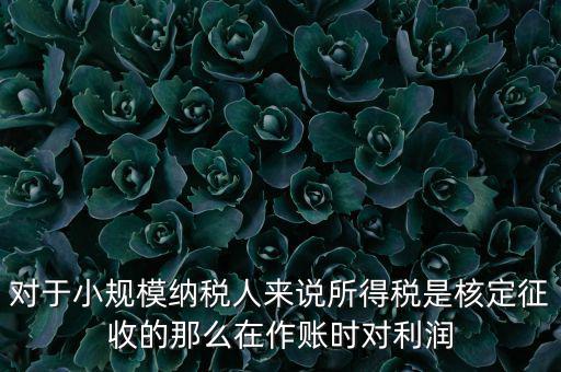 對于小規模納稅人來說所得稅是核定征收的那么在作賬時對利潤