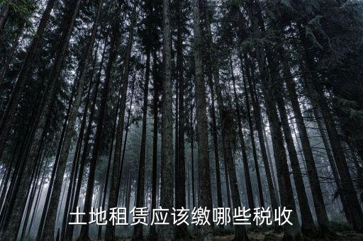 土地租賃需要交什么稅，土地租賃應(yīng)該繳哪些稅收