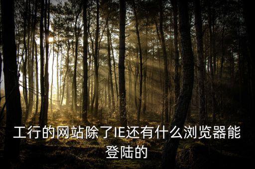 開票登陸的瀏覽器是什么，工行的網站除了IE還有什么瀏覽器能登陸的