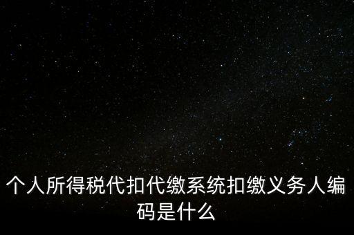 個人所得稅代扣代繳系統扣繳義務人編碼是什么