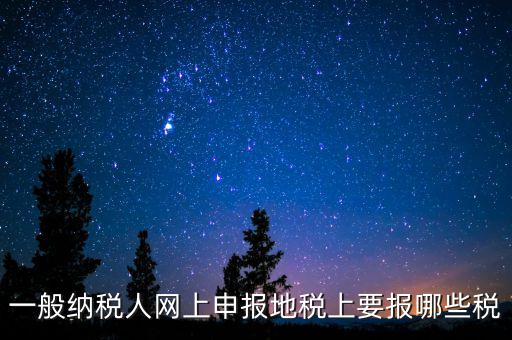 地稅都申報什么，一般納稅人網上申報地稅上要報哪些稅
