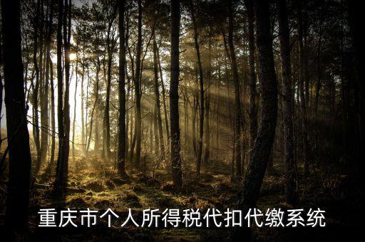 重慶網上繳稅什么網址，重慶市國稅網網址是多少