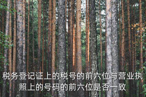 稅務登記證上的稅號的前六位與營業執照上的號碼的前六位是否一致