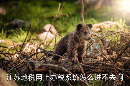 江蘇地稅網上辦稅系統怎么進不去啊