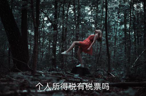 個人所得稅是什么發票，個人所得稅有稅票嗎