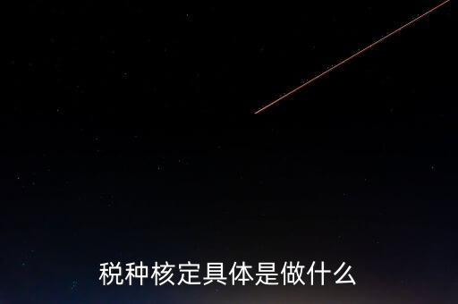 票中核定是什么核定的，哪些情況下要進(jìn)行國(guó)稅票種核定