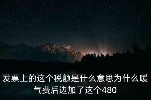 發票上的這個稅額是什么意思為什么暖氣費后邊加了這個480