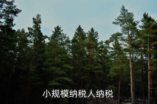 小規模納稅人納稅