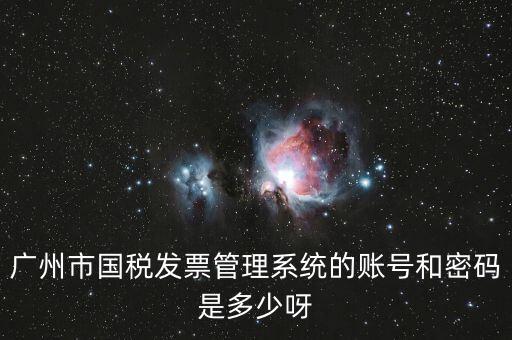 廣州市國稅發票管理系統的賬號和密碼是多少呀