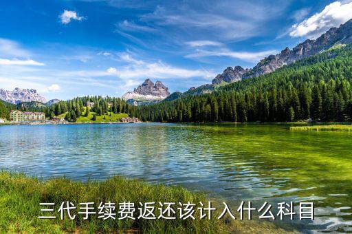什么叫三代手續費，三代手續費返還該計入什么科目