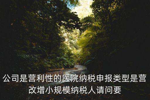 公司是營利性的醫院納稅申報類型是營改增小規模納稅人請問要