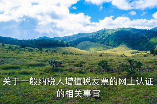 關于一般納稅人增值稅發票的網上認證的相關事宜