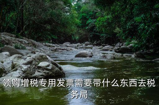 領購增稅專用發票需要帶什么東西去稅務局