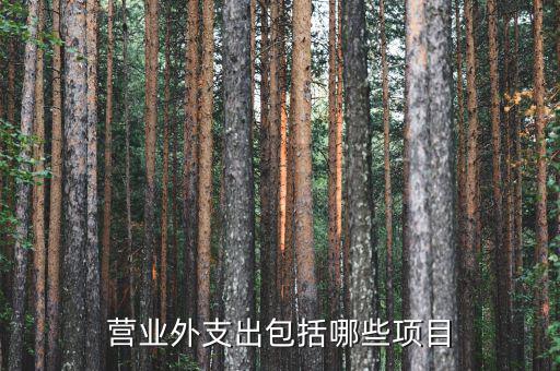 營業外支出包括哪些項目