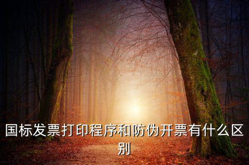 國標發票打印程序和防偽開票有什么區別