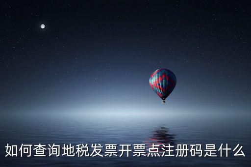 如何查詢地稅發票開票點注冊碼是什么