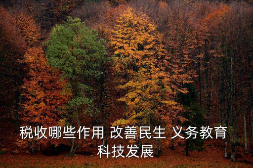 稅收哪些作用 改善民生 義務教育 科技發展